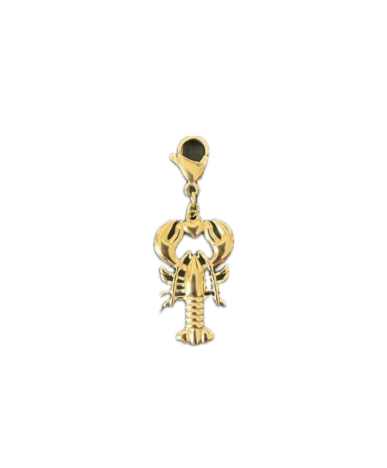 CHARM LANGOSTA
