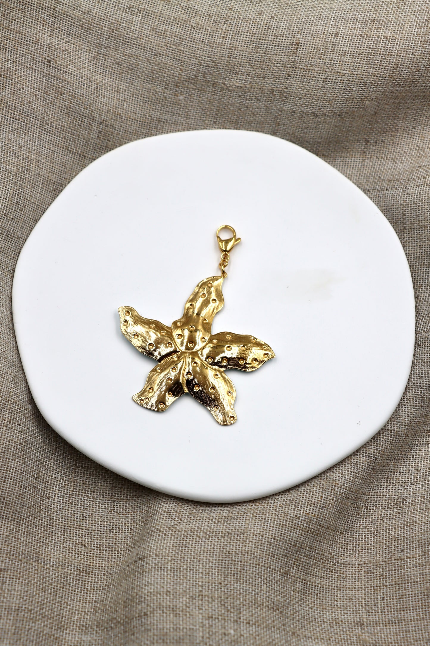 Charm Sea