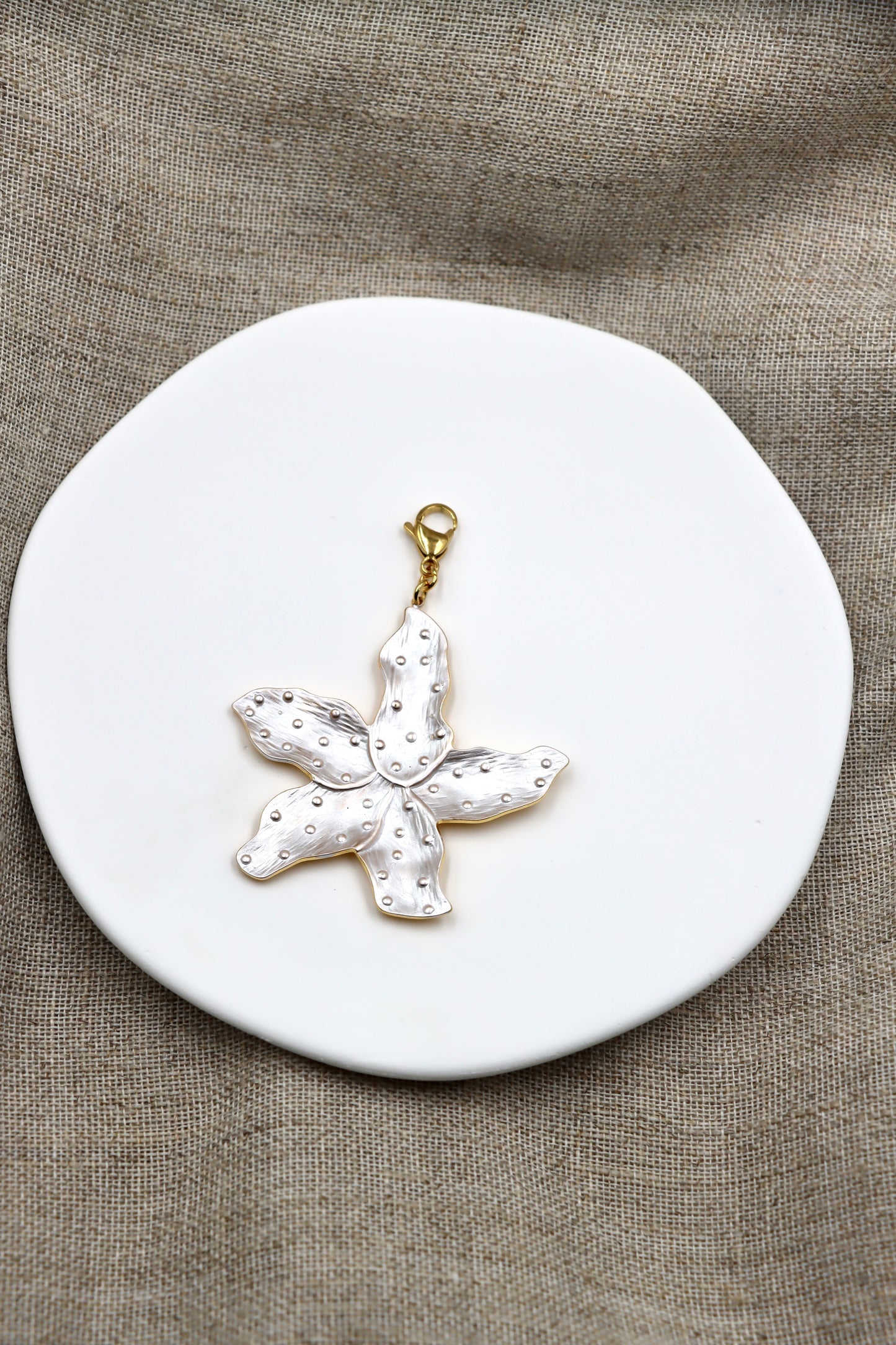 Charm Sea