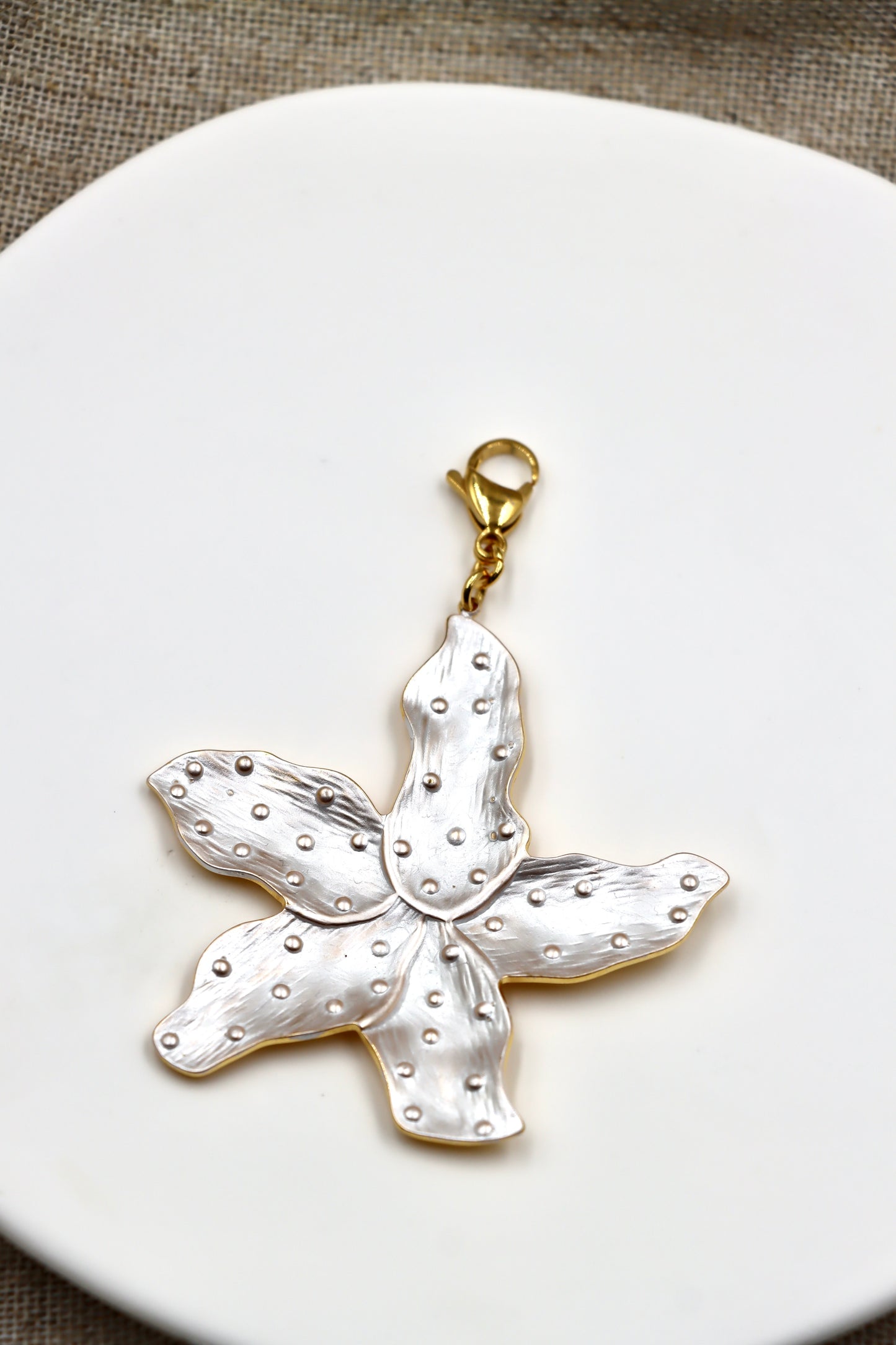 Charm Sea