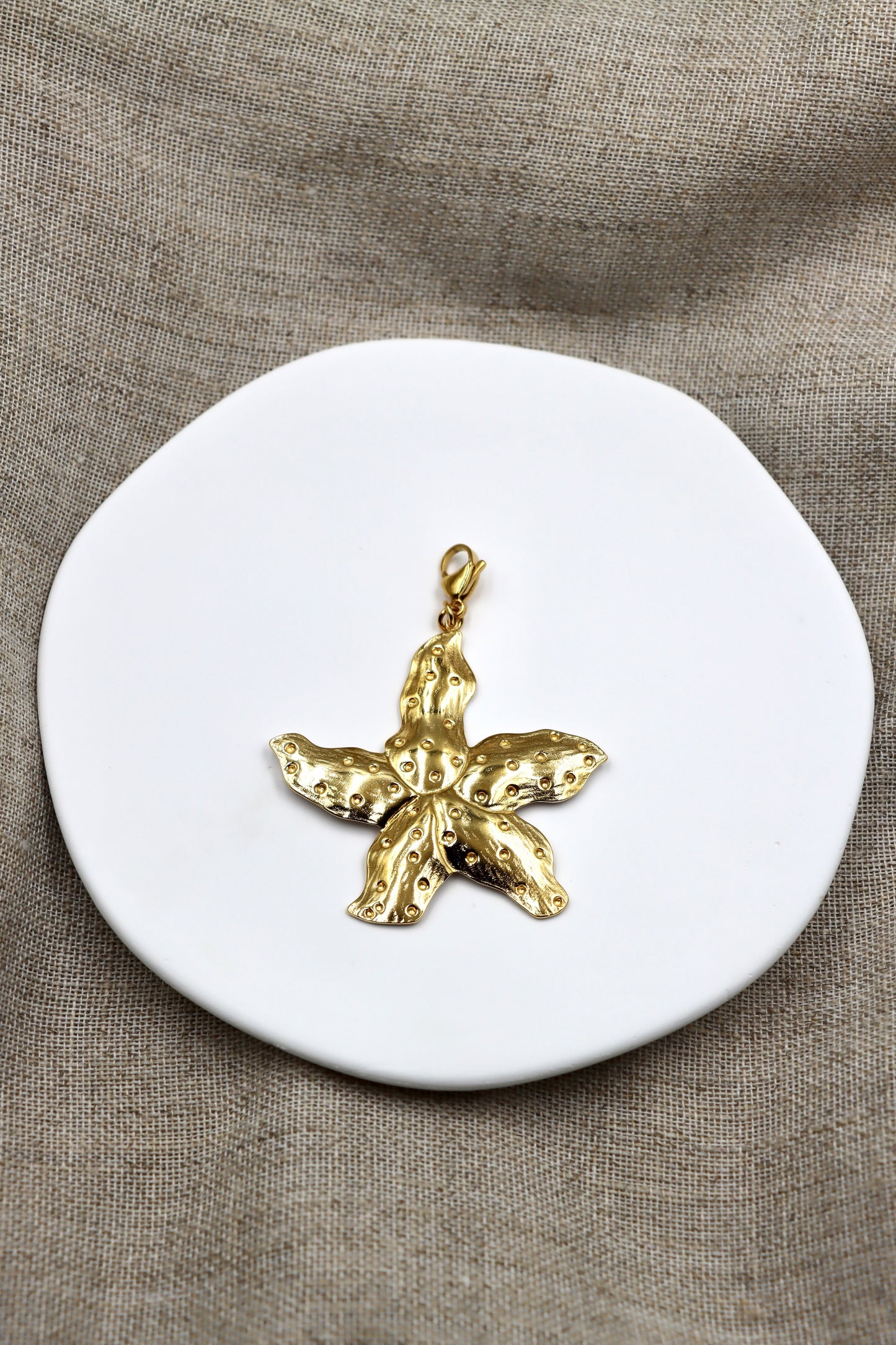 Charm Sea