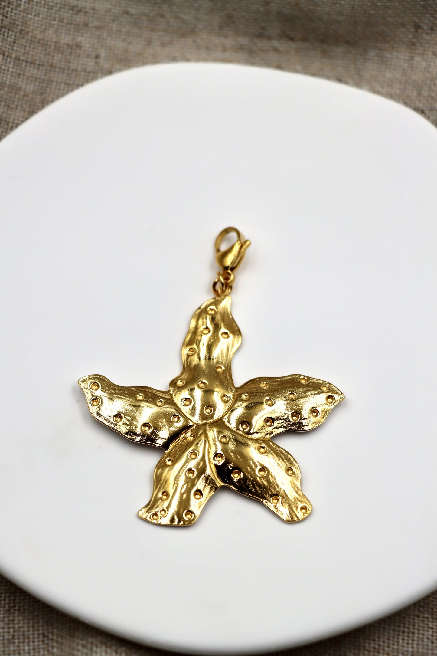 Charm Sea