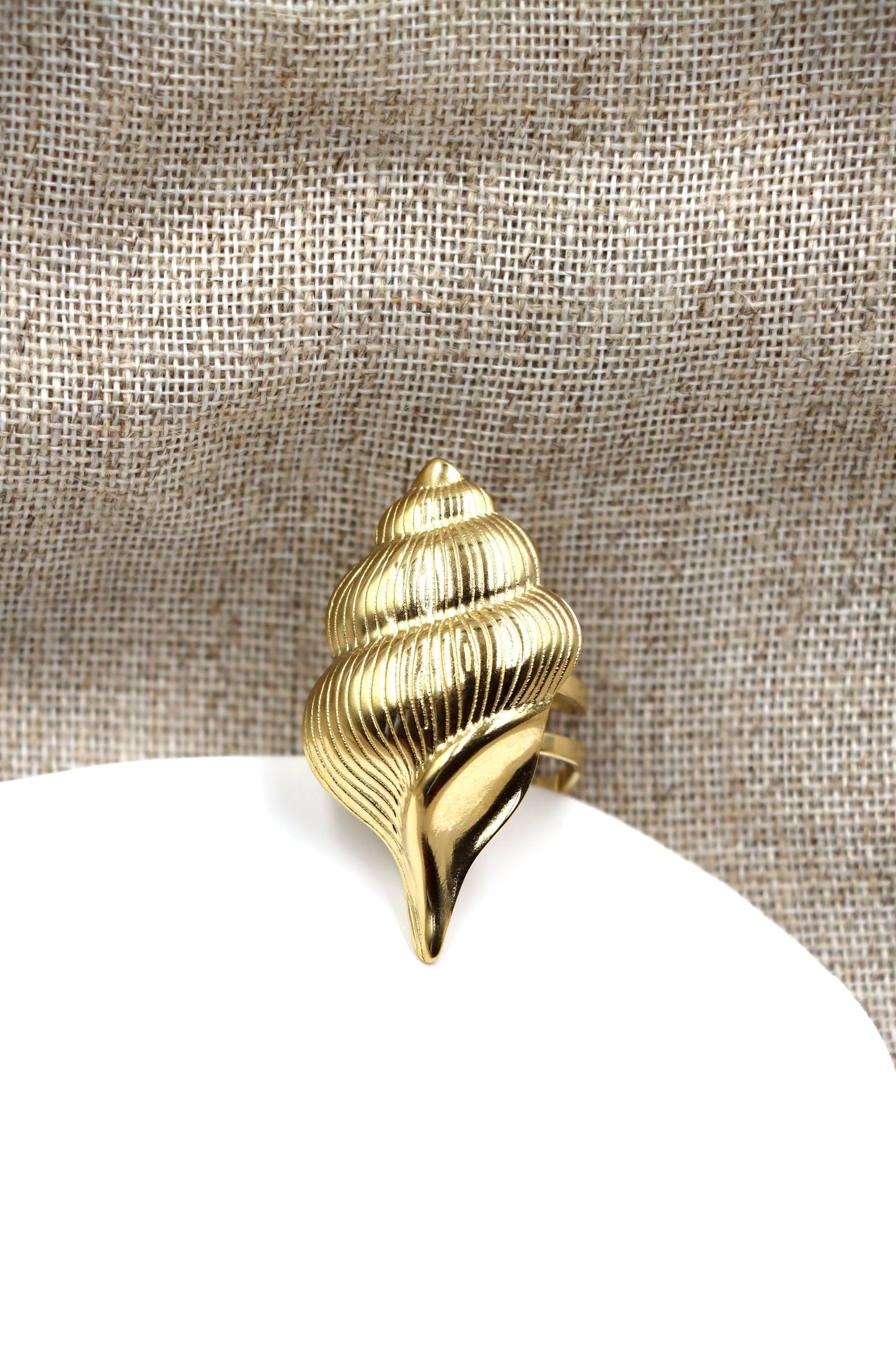 Anillo Salado