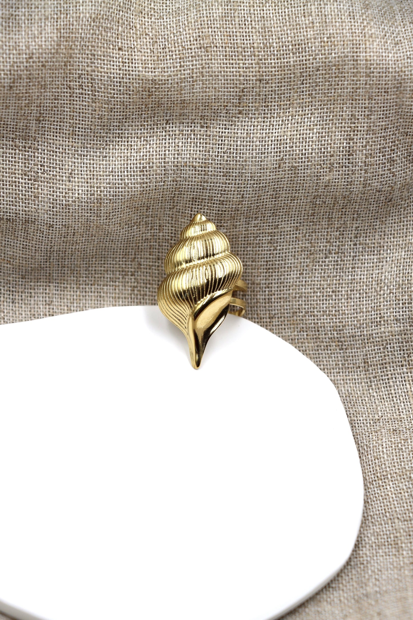 Anillo Salado