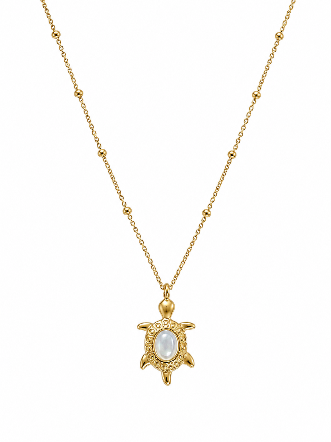 Collar turtle