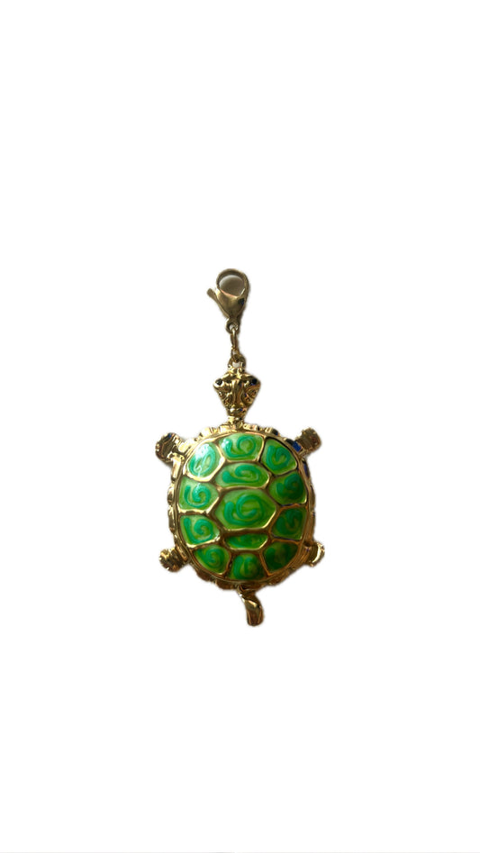 Charm tortu