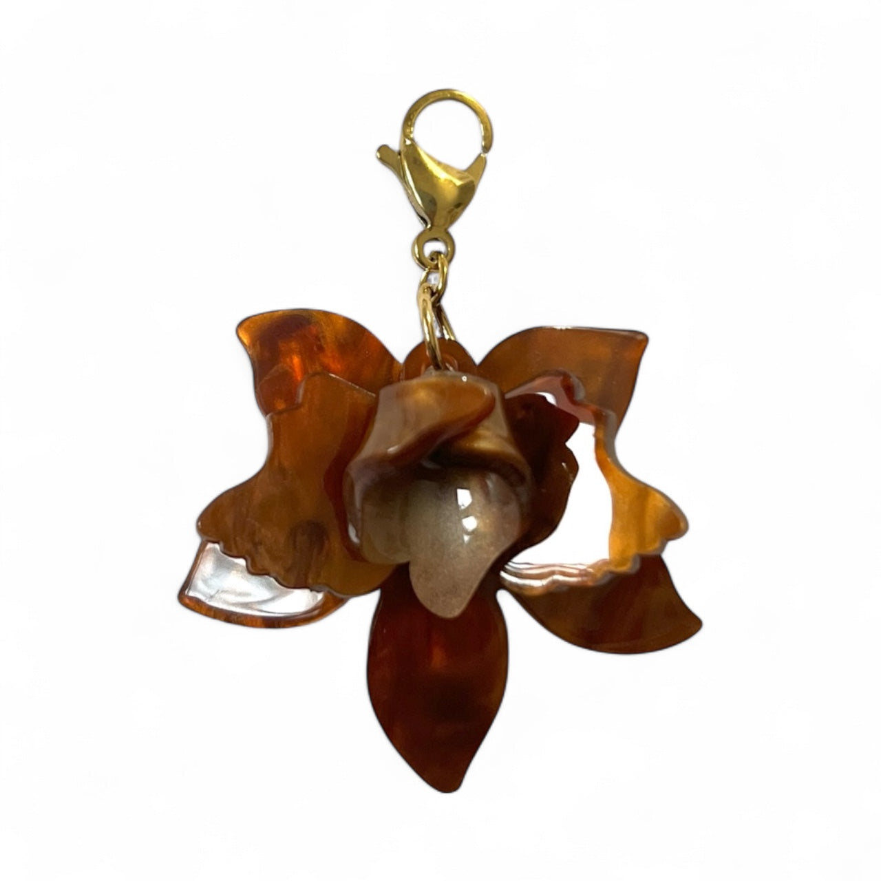 Charm flor de otoño marrón