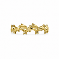 Anillo dolphin