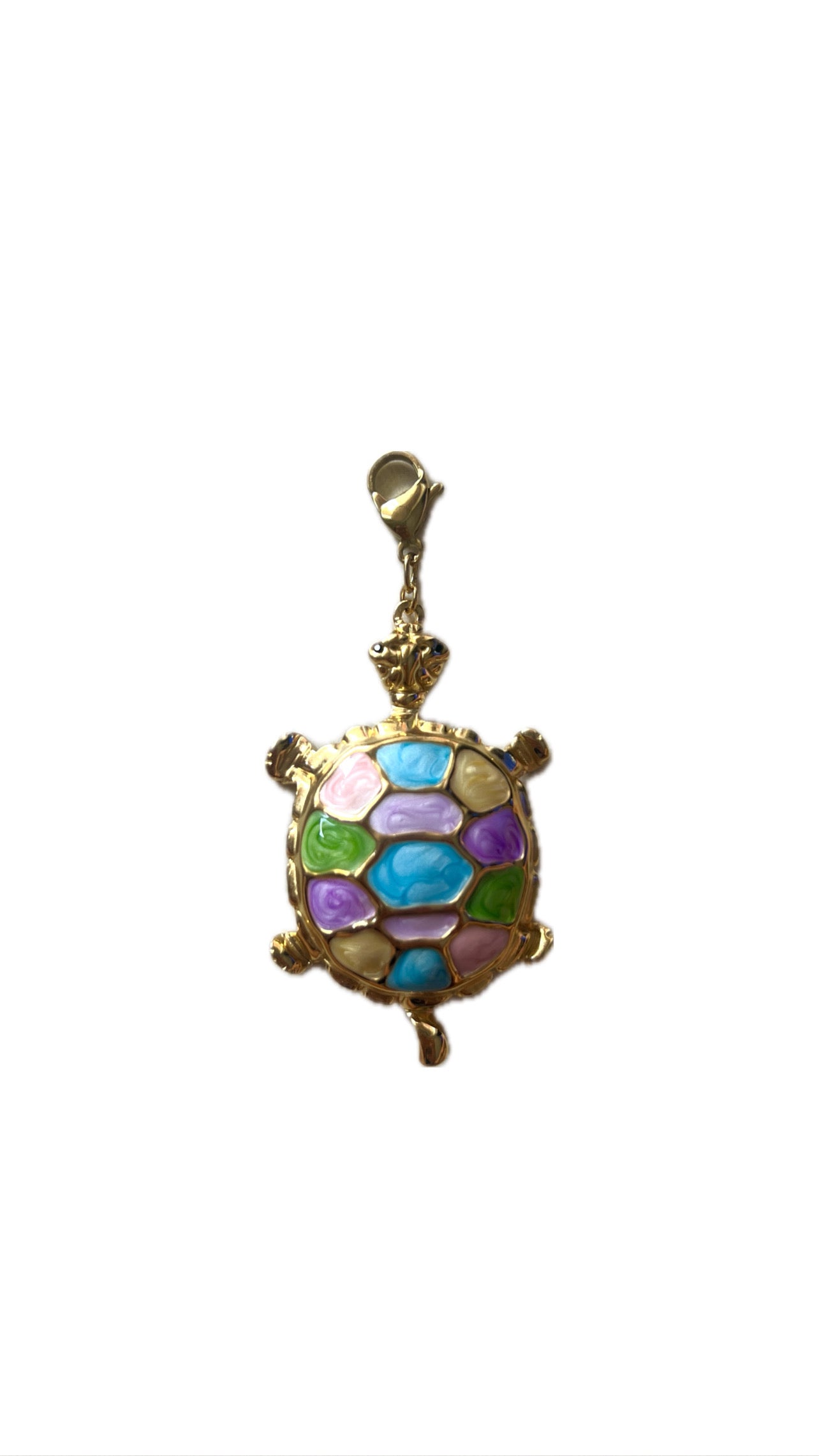 Charm tortu