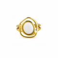 Anillo duna