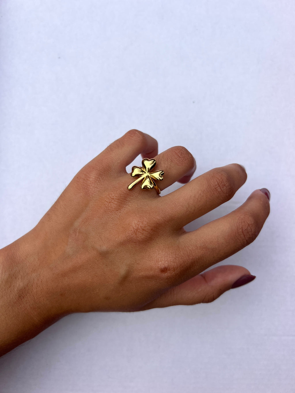 Anillo Fortuna
