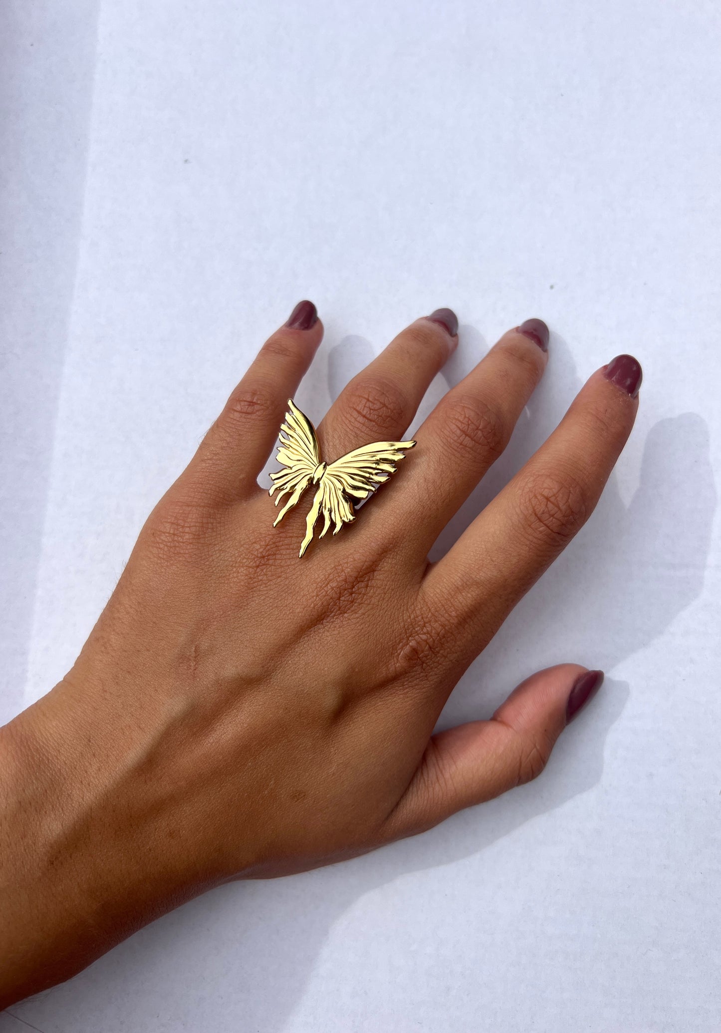 Anillo Bolboreta