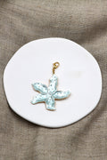 Charm Sea