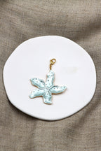 Charm Sea