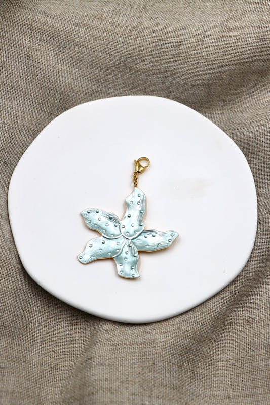 Charm Sea