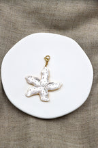 Charm Sea