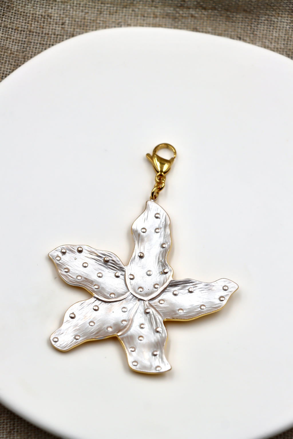 Charm Sea