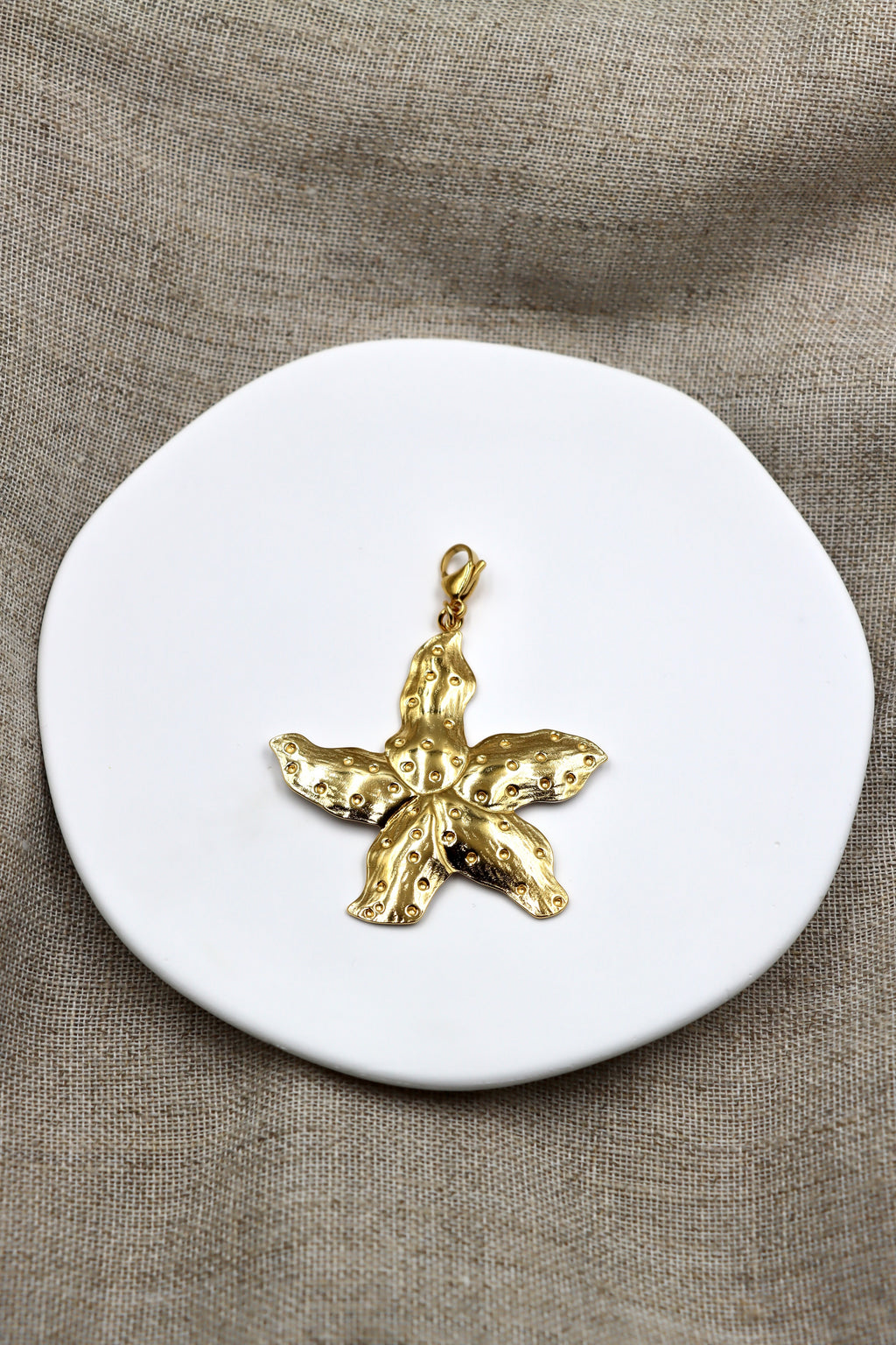 Charm Sea