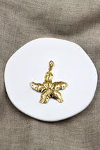Charm Sea