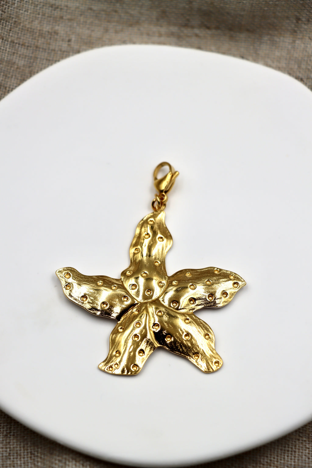 Charm Sea