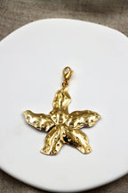 Charm Sea