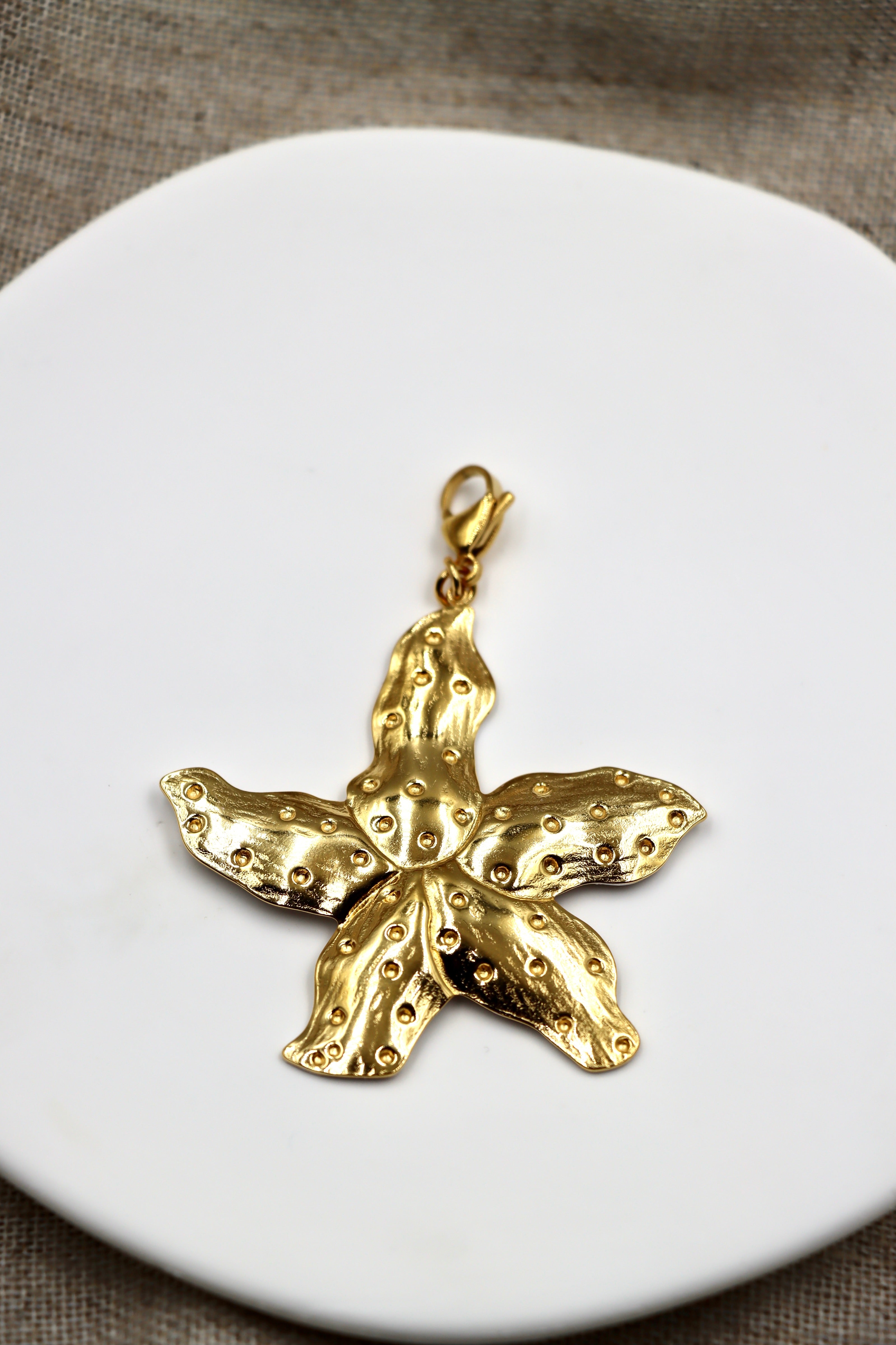 Charm Sea