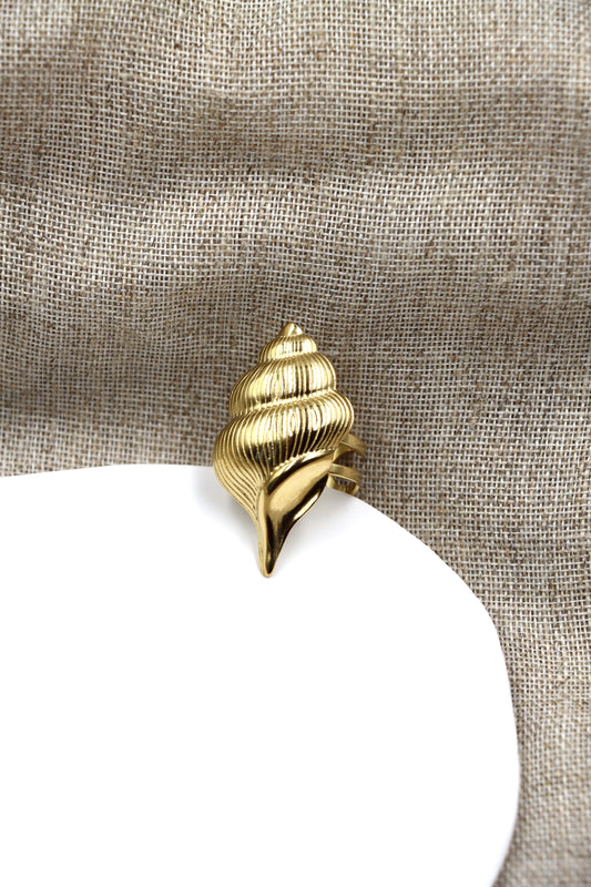 Anillo Salado