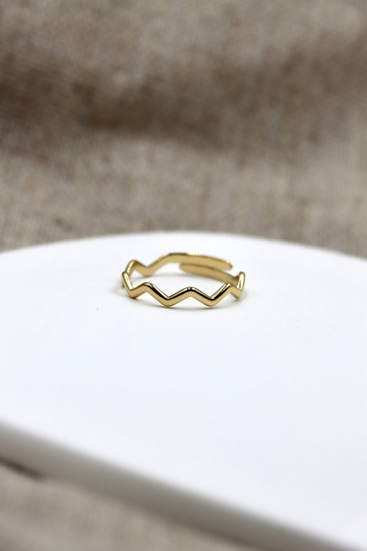 Anillo Dúo