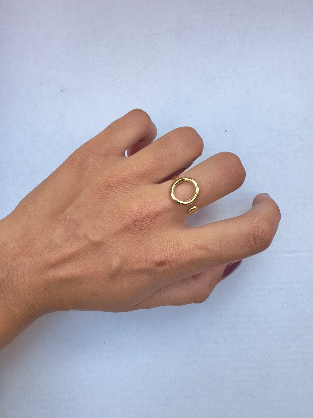 Anillo Circunferencia