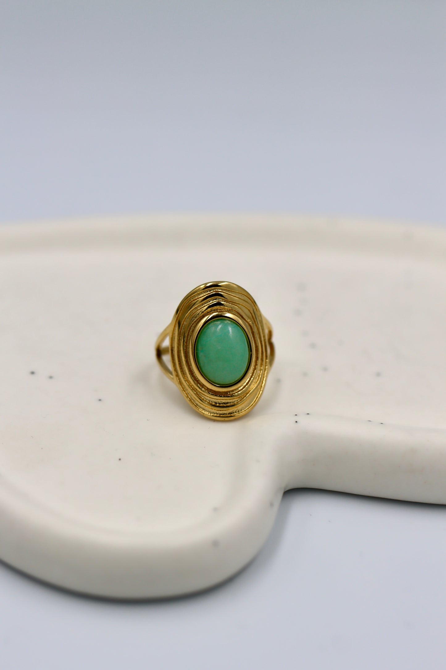 Anillo Escudo