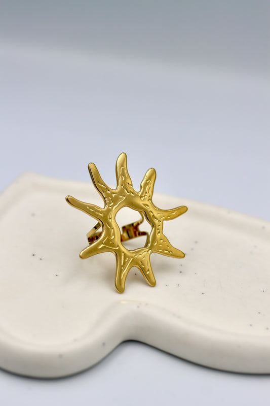 Anillo Solar