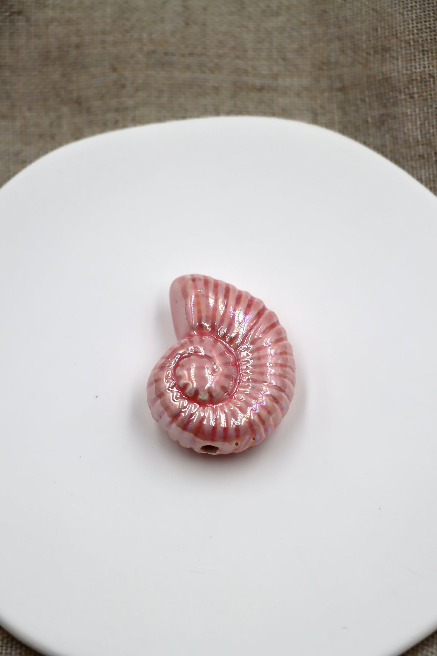Charm Caracola XL