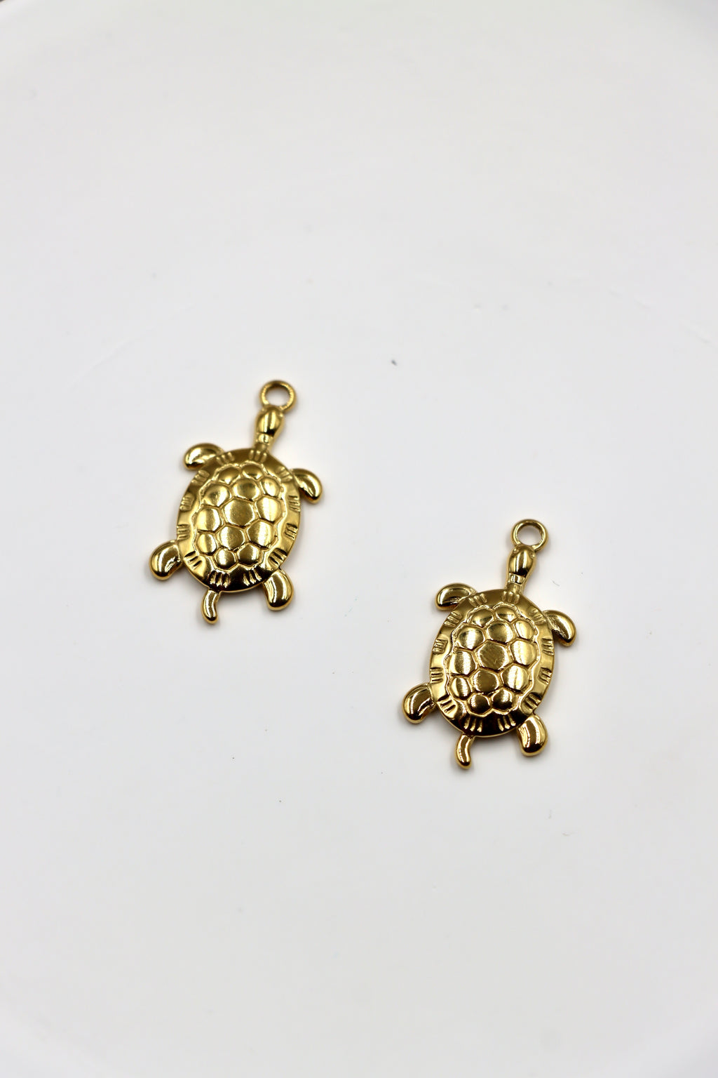Charm Tortuga