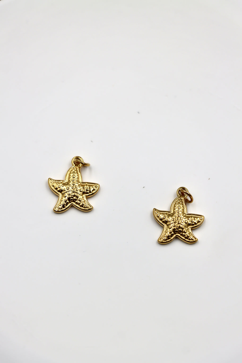 Charm Estrella Marina