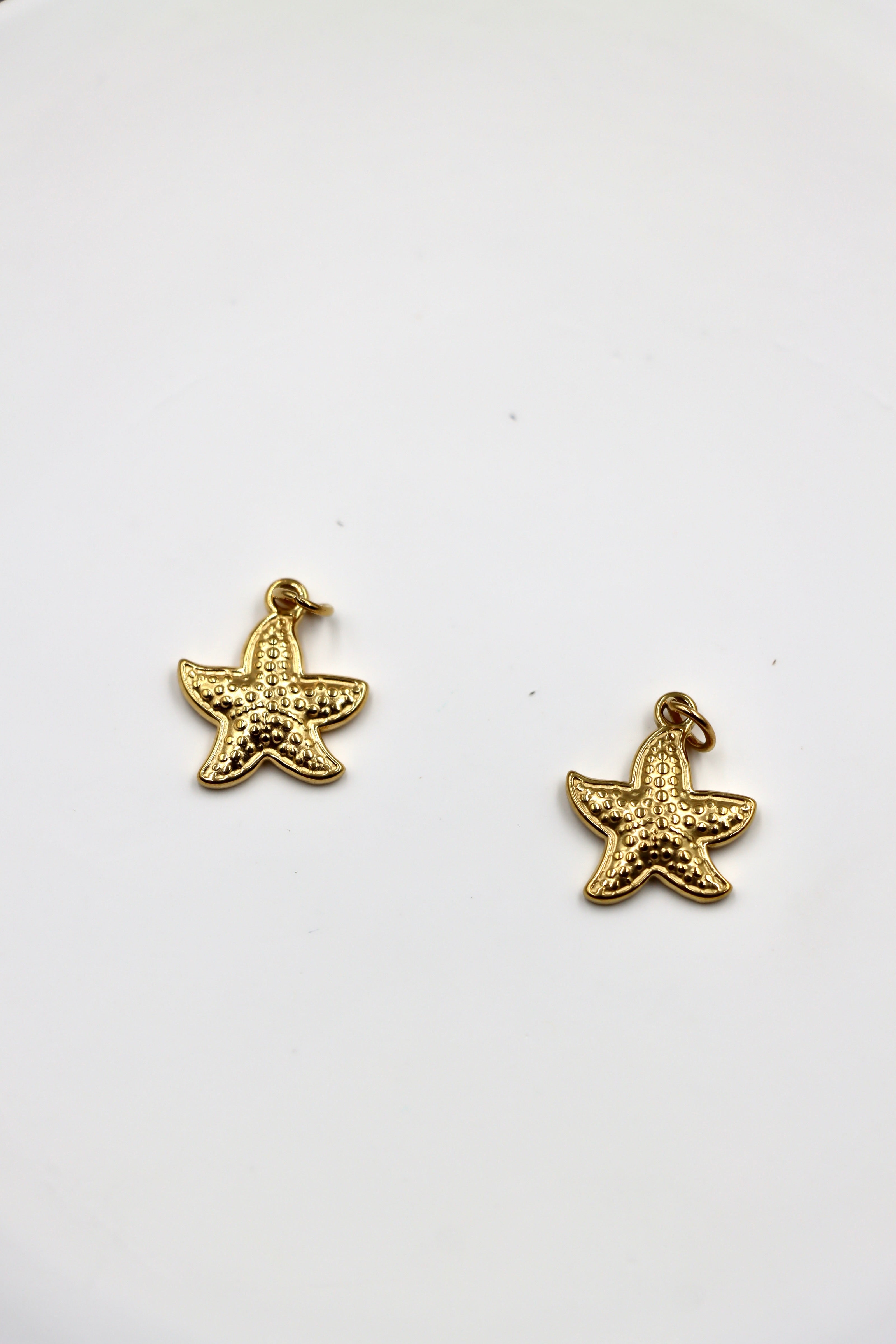 Charm Estrella Marina