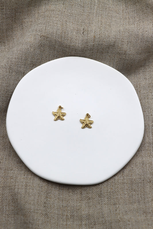 Charm Estrella Marina