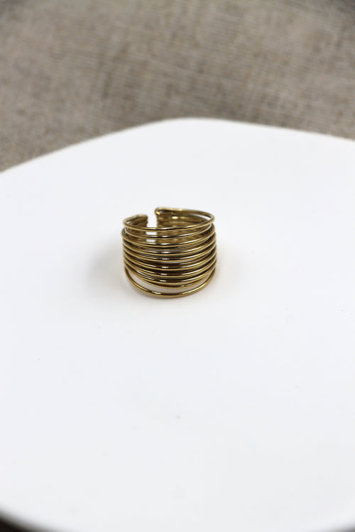 Anillo Muelle