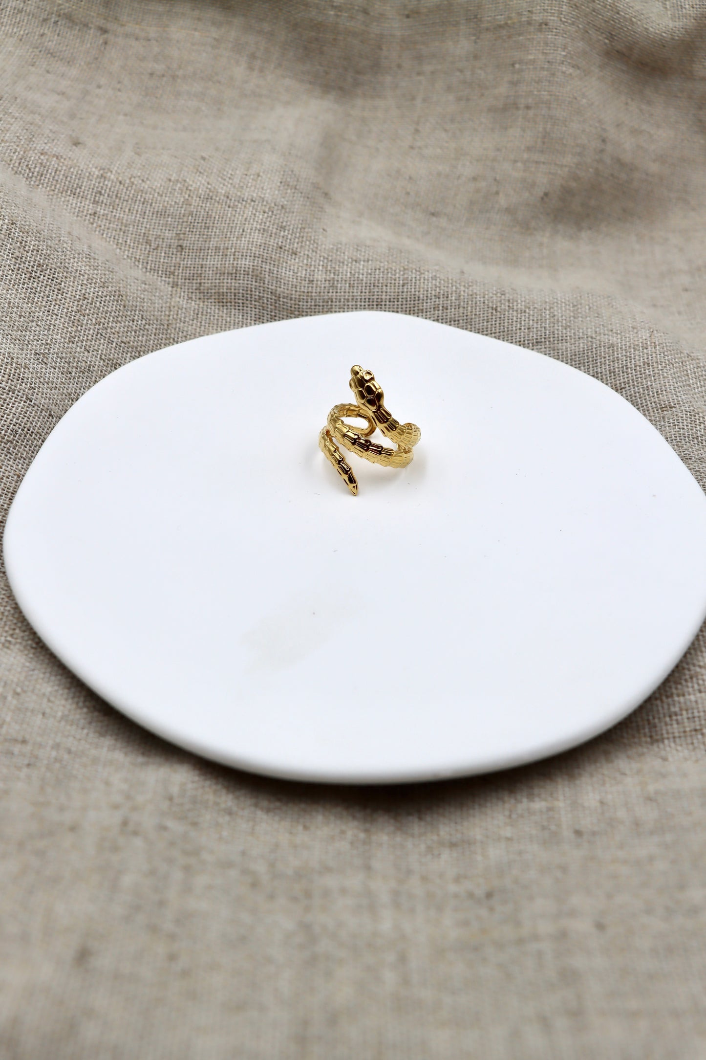 Anillo Snake