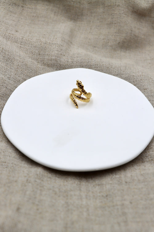 Anillo Snake