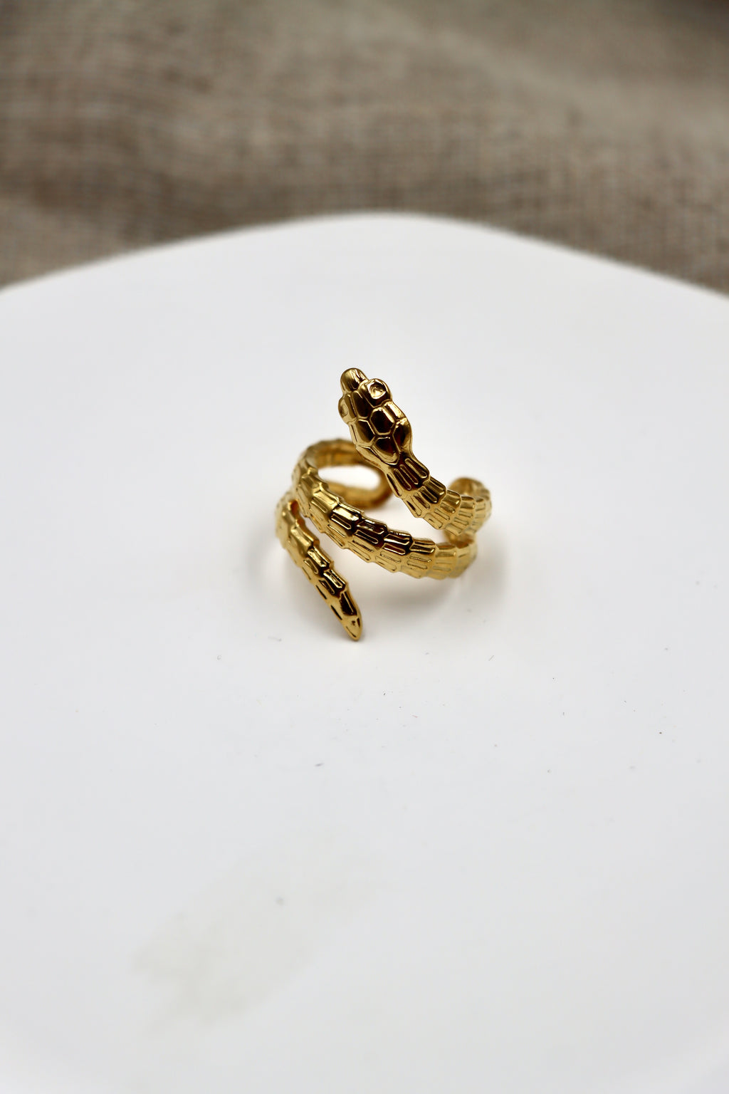 Anillo Snake
